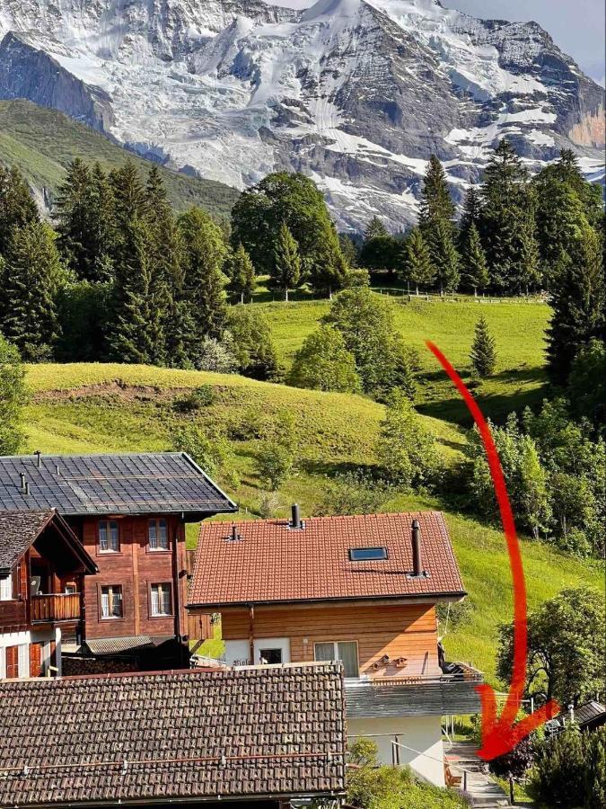 Chalet Viola Wengen Exterior photo
